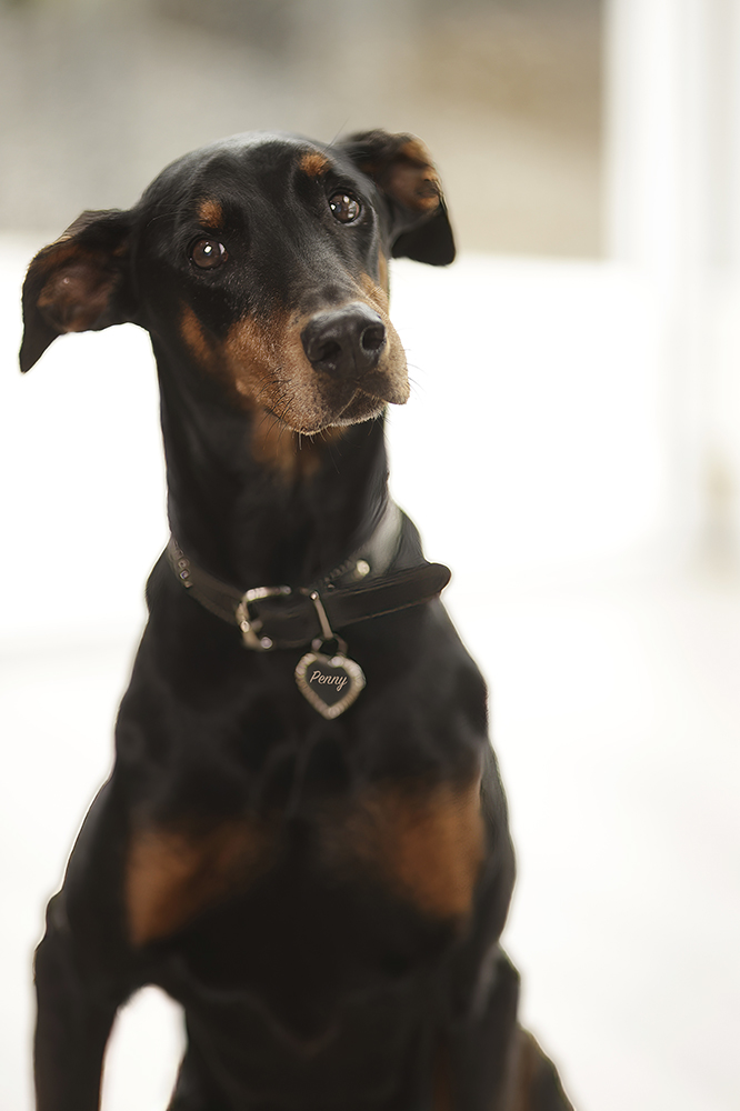 Penny